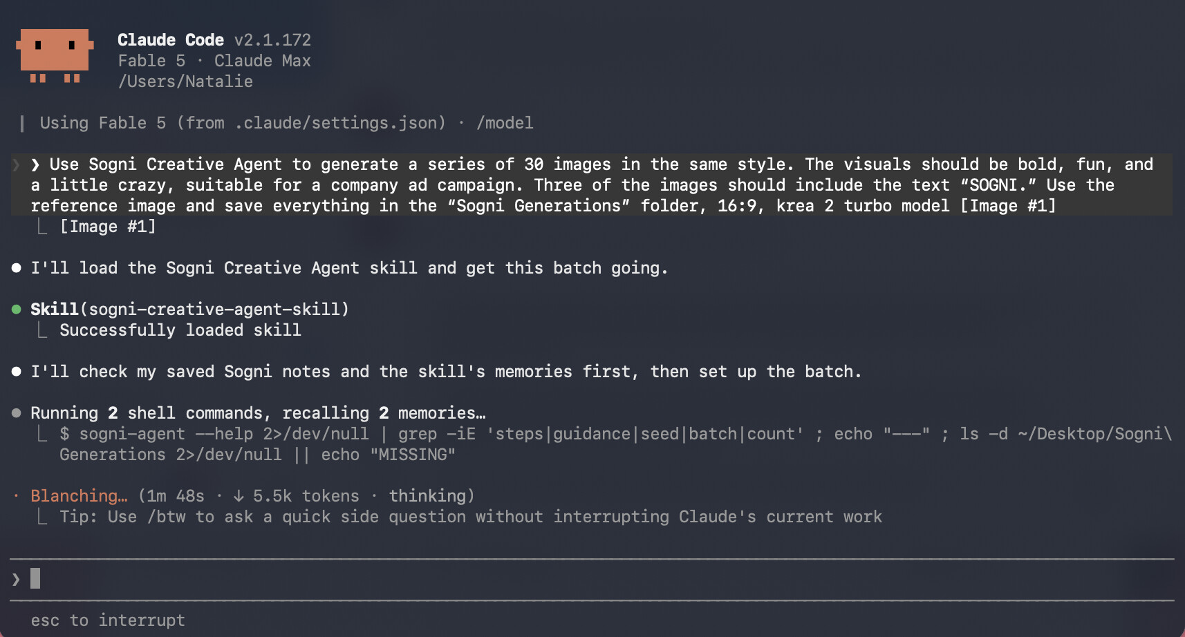 A four-sentence brief asking Sogni Creative Agent for a 30 image series in one style